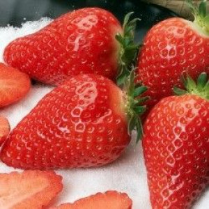 Саженцы Комплект 5шт / Клубника Королева Элиза (Не ремонта..